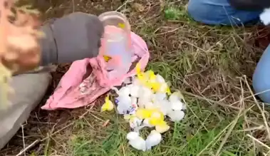 Kırklareli'nde Uyuşturucu Taciri Kadın Tutuklandı