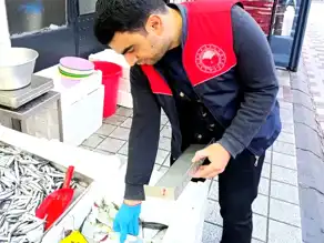 Kırklareli'nde Balık Tezgahları Denetiminde