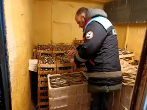 Kırklareli'nde Balıkçılık Denetimi: Olumsuzluk Yok