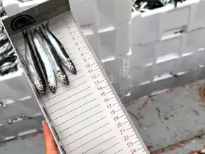 Kırklareli İğneada'da Su Ürünleri Denetimi: Olumsuzluk Yok