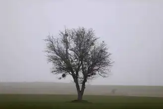 Kırklareli'nde Yoğun Sis, Hayatı Felç Etti!