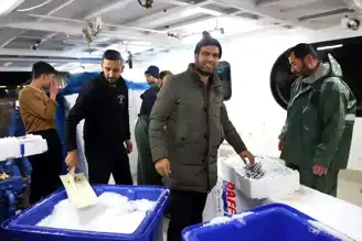 İğneada'da Hamsi Bolluğu: Balıkçılar Kasa Kasa Hamsi Avladı